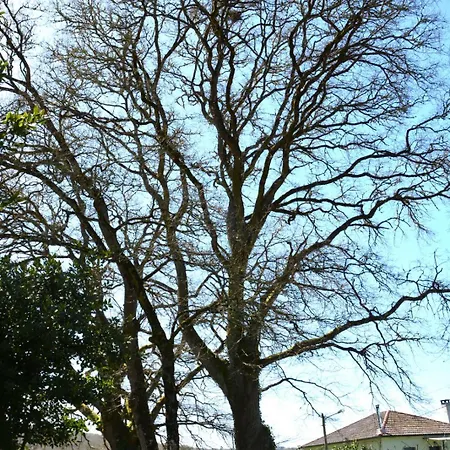 Εξοχικό σπίτι Duerming Casa Vilamor *