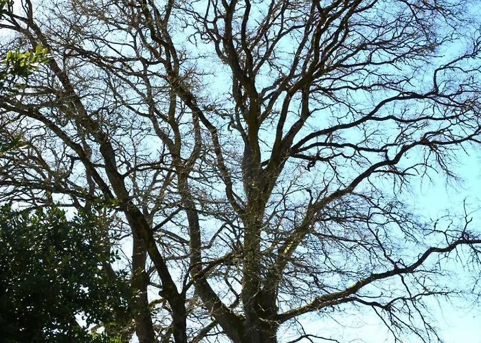 Casa de Campo Duerming Casa Vilamor *